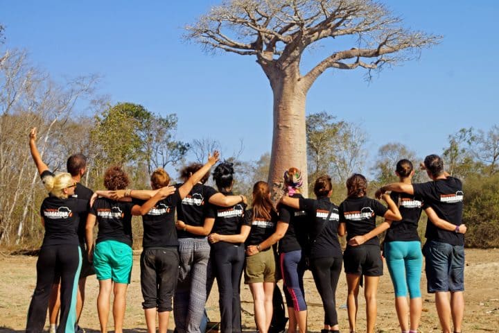 GlobeTracker Avantura Madagaskar - Baobab drvo