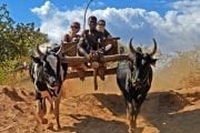 GlobeTracker Avantura - Skriveni Madagaskar i Sejsheli
