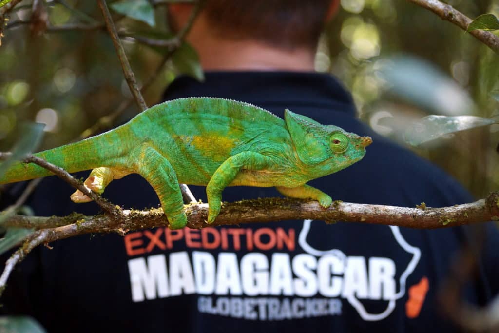 GlobeTracker Avantura - Skriveni svet Madagascar - Sejšeli