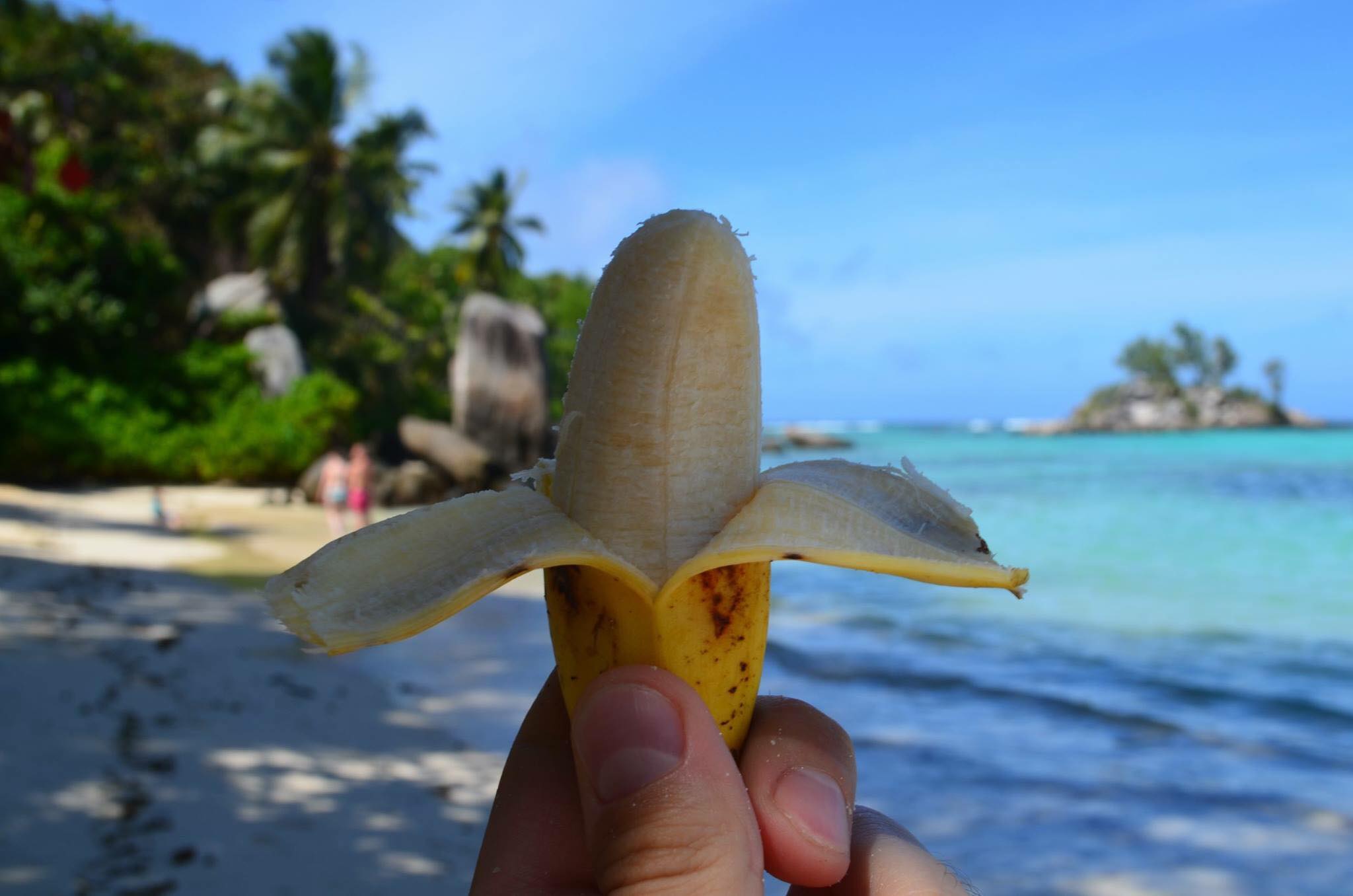 Sweet banana - finger banana