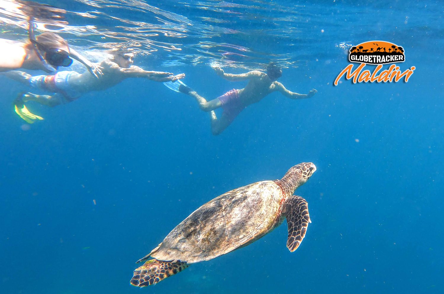 Globetracker Mathiveri, Snorkeling ronjenje na grebenu, turtles, kornjače