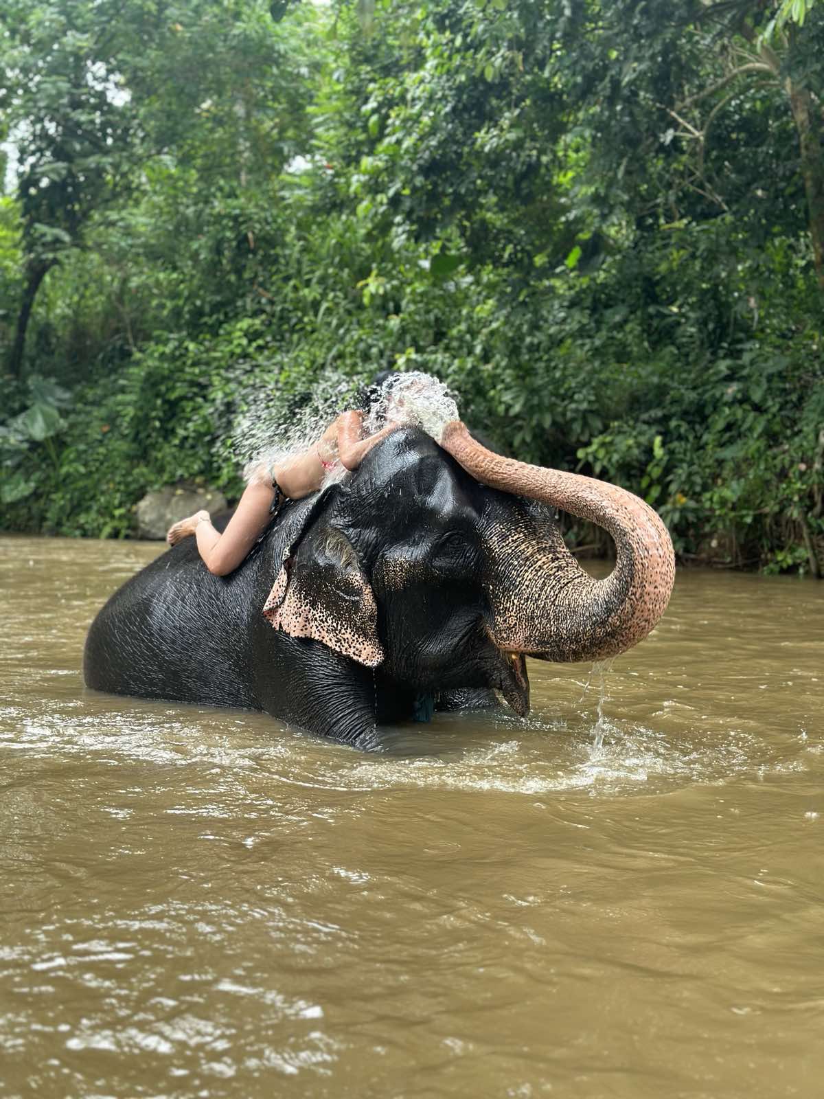 Sri Lanka kupanje sa slonovima