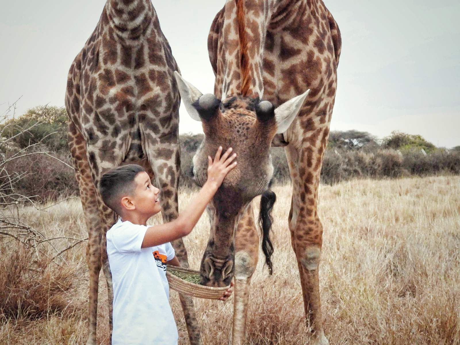 Zanzibar: savanna&ocean LE